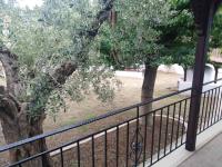 Filio Rooms - B&B Nikiti