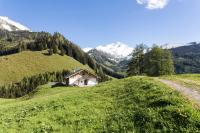 Alpengasthof Karalm - B&B Rauris