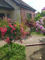 Apartment Ljupka - B&B Pančevo