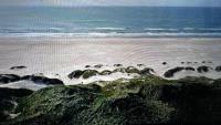 Veludstyret sommerhus i unik natur 350 m fra lækker badestrand - helårsbolig - Chambres d'hôtes Saltum