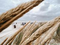 Nordstrandperle Ap S5 - Ferienwohnung Norderney
