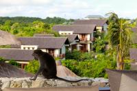 Escape to Paradise, Deluxe Fractional 2BR Garden Pool Villa Private Beach Near Uluwatu - B&B Uluwatu