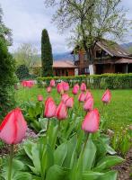 Casa Amalia Tocile -Sadu - B&B