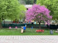 Casa Paradiso - B&B Borso del Grappa