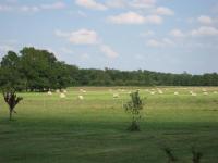 Casa con 3 Camere da Letto