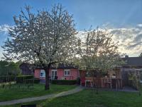 Ferienhaus SIGGI - B&B Walow