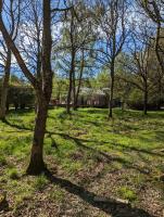 Birkenside Cottage - B&B Jedburgh