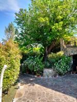 B&B La Rasora - B&B Fornovo di Taro