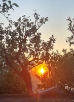 Libirina - B&B Massa Lubrense