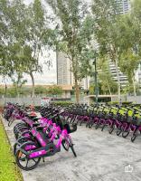 Apartamento de 3 dormitorios