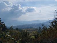 Casa Angelita - Bed and Breakfast Nuevo Colón