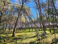 Beautiful Apartment in Laguna Resort - B&B Golem