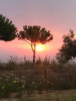 Pieds dans l eau en Camargue - Bed and Breakfast
