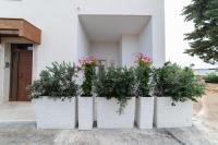 Dimora Onda Verde - B&B Carovigno