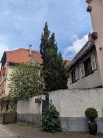 Gîte du Figuier 4 à 6 personnes Sélestat Centre-Alsace - Chambres d’hôtes
