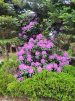 GARDENIA - B&B