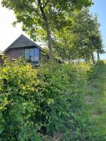 Springhill Studio, Brimham Rocks Yorkshire Dales - B&B Grantley