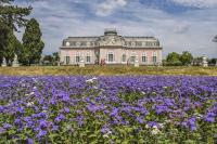 Gemütliche Ferienwohnung nähe Schloss Benrath & Rhein Düsseldorf Urdenbach - B&B Düsseldorf