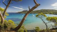 Calme et confort en rez-de-jardin - B&B