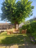 L'école buissonnière - B&B