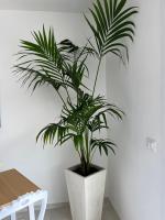 Ars de mar - Chambres d’hôtes Martinsicuro