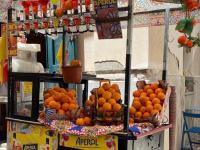 Sea sicily home - B&B Santa Flavia