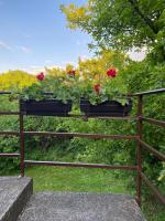Apartman Jelena Sumarice - Ferienwohnung