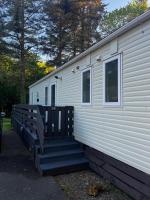 The Forest Cabin Holiday Home 15 - Bed and Breakfast