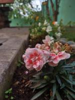 Monolocale con Balcone