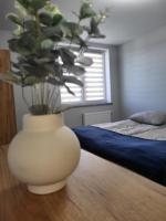 ApartHotel11 - Ferienwohnung