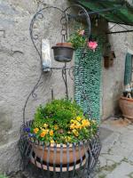 Agriturismo La Buca - B&B Cutigliano