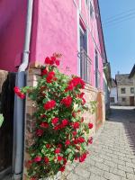 Im Herzen des Kraichgaus 2 - B&B Östringen