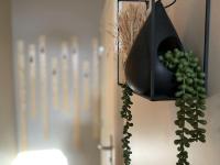 Le cocon du Faubourg - B&B
