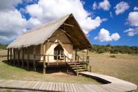 Gorah Elephant Camp - Bed and Breakfast Addo