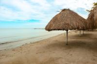 Apartamento Villa Carolina 102 - B&B