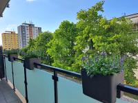 Tabáň Marble apartment (city center & free parking) - B&B