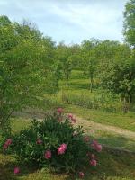 Zimmer frei "Cosmina" - Bed and Breakfast Chișcădaga