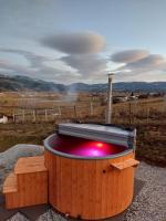 Cozy Cube - tiny house - Ferienwohnung Şaru Dornei