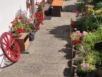 Wenz Wohnung - B&B Schwarzsee