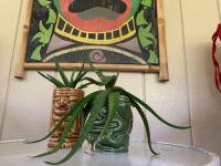 Hau'oli Place Tiki Cottage in Volcano - B&B