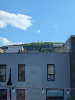 2 Bedrooms, 1 Sofa bed and 1,5 Bathrooms, Renovated Apartment in the Heart of Plateau Mont-Royal - B&B Montreal