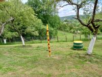 Casa rustica Cerdacul Batranesc - B&B
