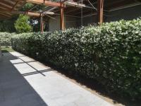 Alloggio Turistico Castel di Leva - B&B Castel di Leva