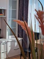 Butas šalia parko - B&B Radviliskis