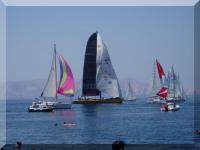 Apartment Vesna Senj - B&B Senj