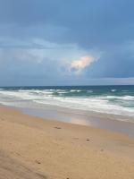 Biscarrosse plage, à 450 m de l'Océan - Bed and Breakfast Biscarrosse-Plage