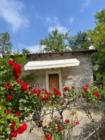 Gelsomino - B&B Morano Calabro