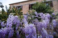 Casa Lucia - B&B Santo Stefano di Camastra