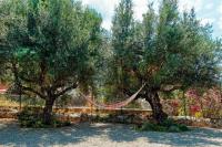 Green Blue - Chambres d’hôtes Kardamyli