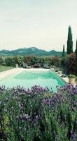La cabane d'Alcée - B&B Vacqueyras